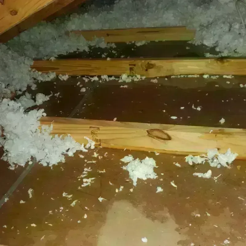 Attic Water Damage in Holly Springs, NC