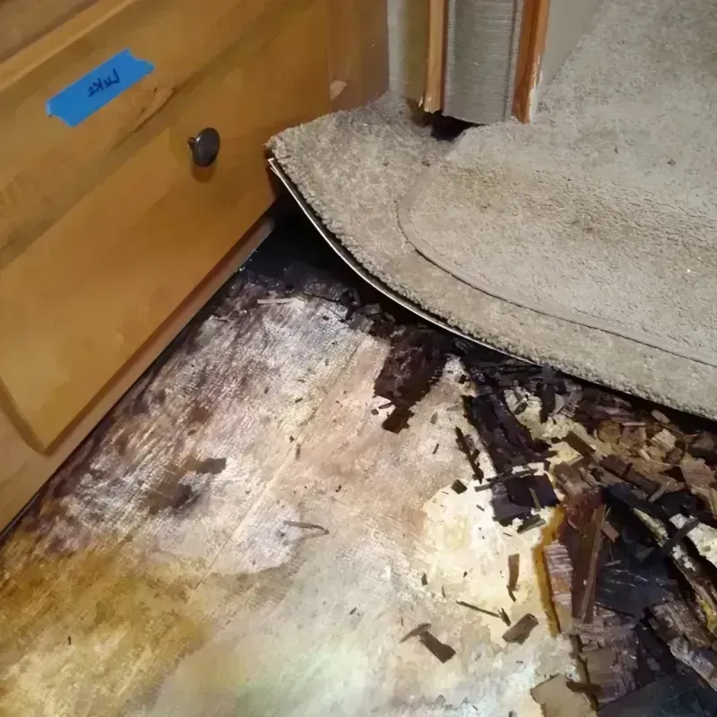 Wood Floor Water Damage in Holly Springs, NC